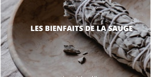 Découvrez les bienfaits et pouvoirs de la sauge