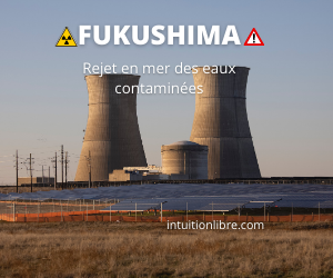 Fukushima – Le Japon va rejeter en mer les eaux contaminées