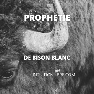 Prophétie de Bison Blanc-Redevenir maître de notre vie