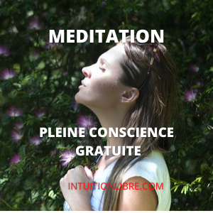 Méditation en pleine conscience gratuite