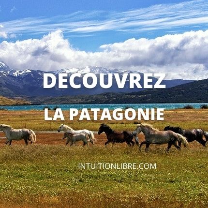 Découvrez la Patagonie - Terre extrême