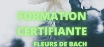 Formation certifiante fleurs de Bach