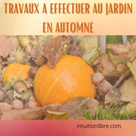 Travaux à effectuer au jardin en automne