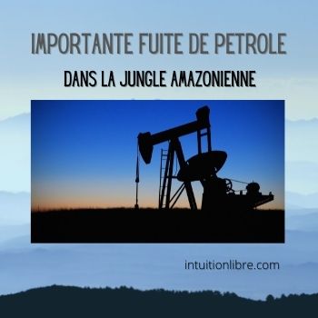 Importante fuite de pétrole dans la jungle Amazonienne