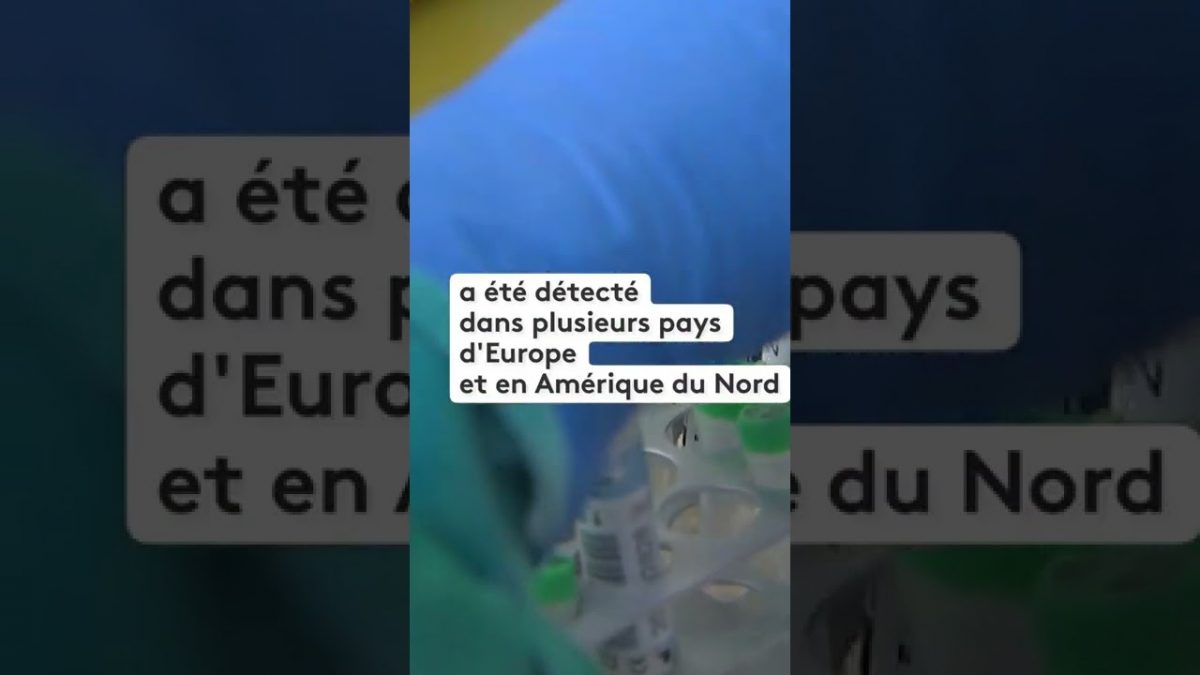 Que sait-on du virus du singe, détecté pour la première fois en France ?