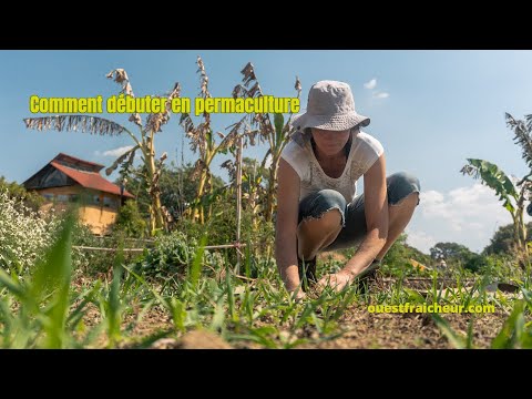 Comment débuter en permaculture