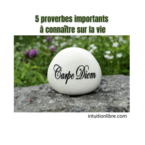 5 proverbes importants à connaître sur la vie