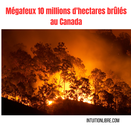 Mégafeux 10 millions d'hectares brûlés au Canada